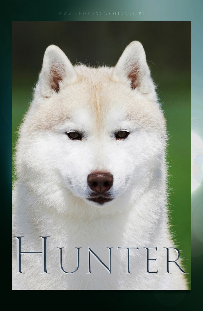 Hunter