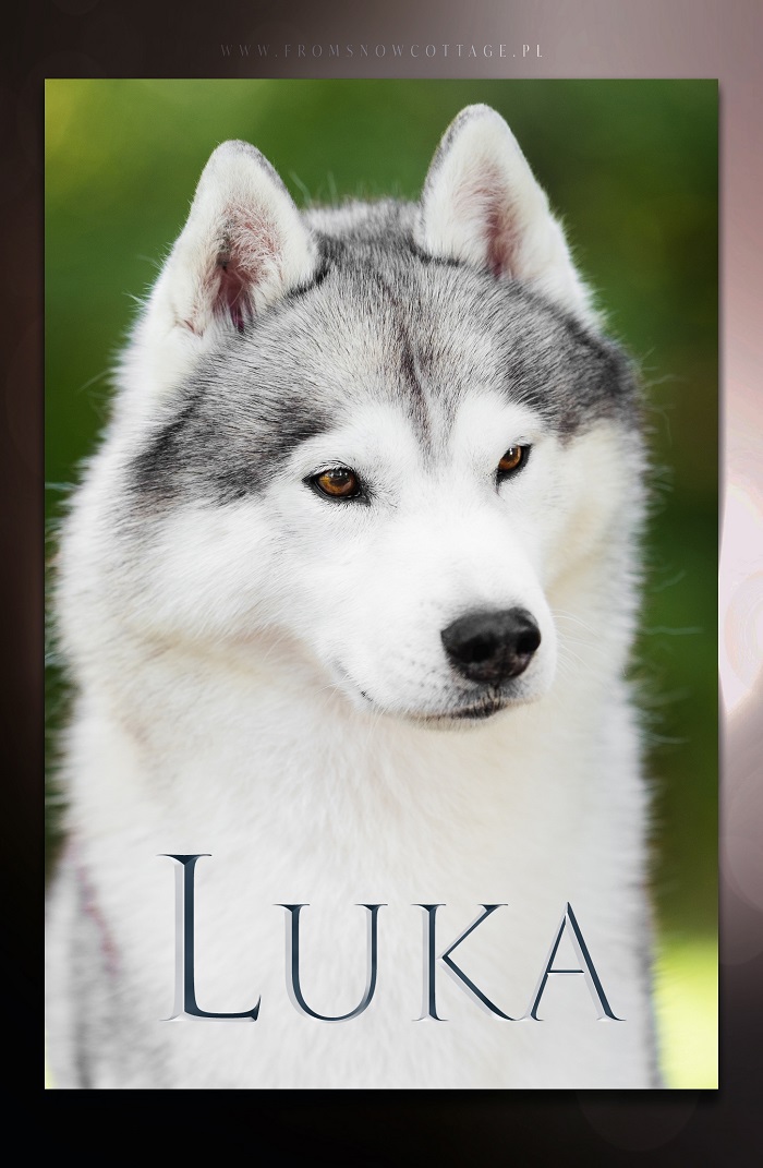 Luka
