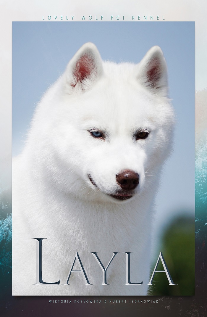 Layla