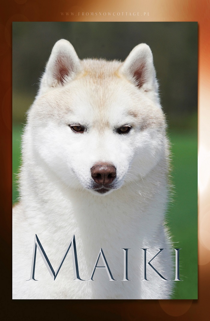 Maiki