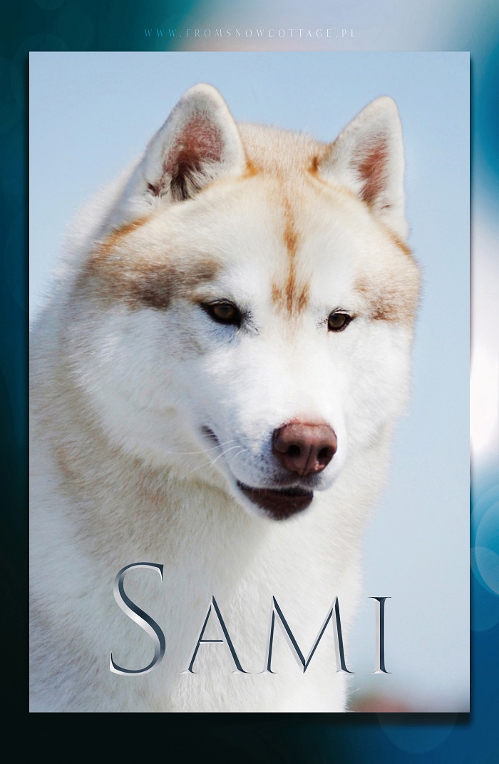 Sami