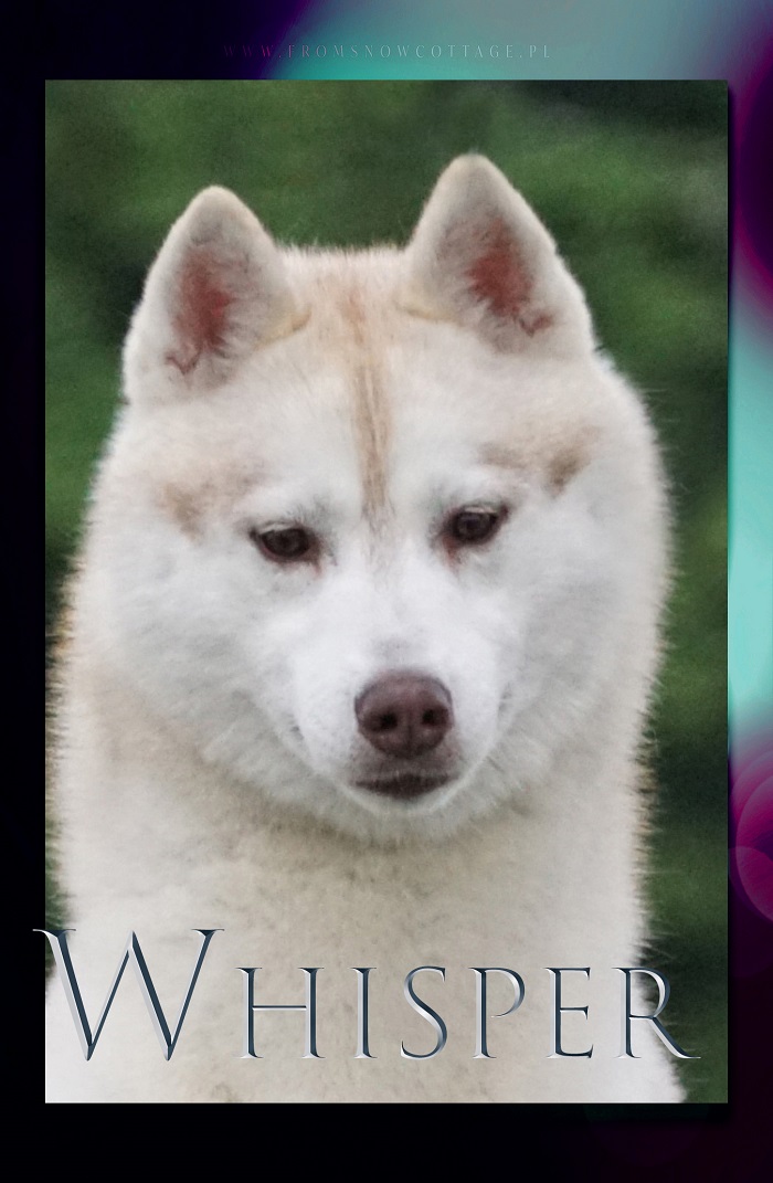 Whisper